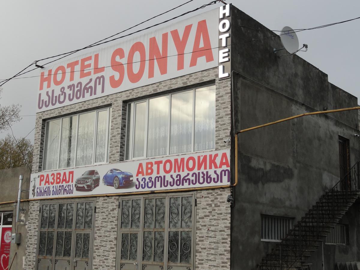 Hotel Sonya Ninotsminda Exteriér fotografie