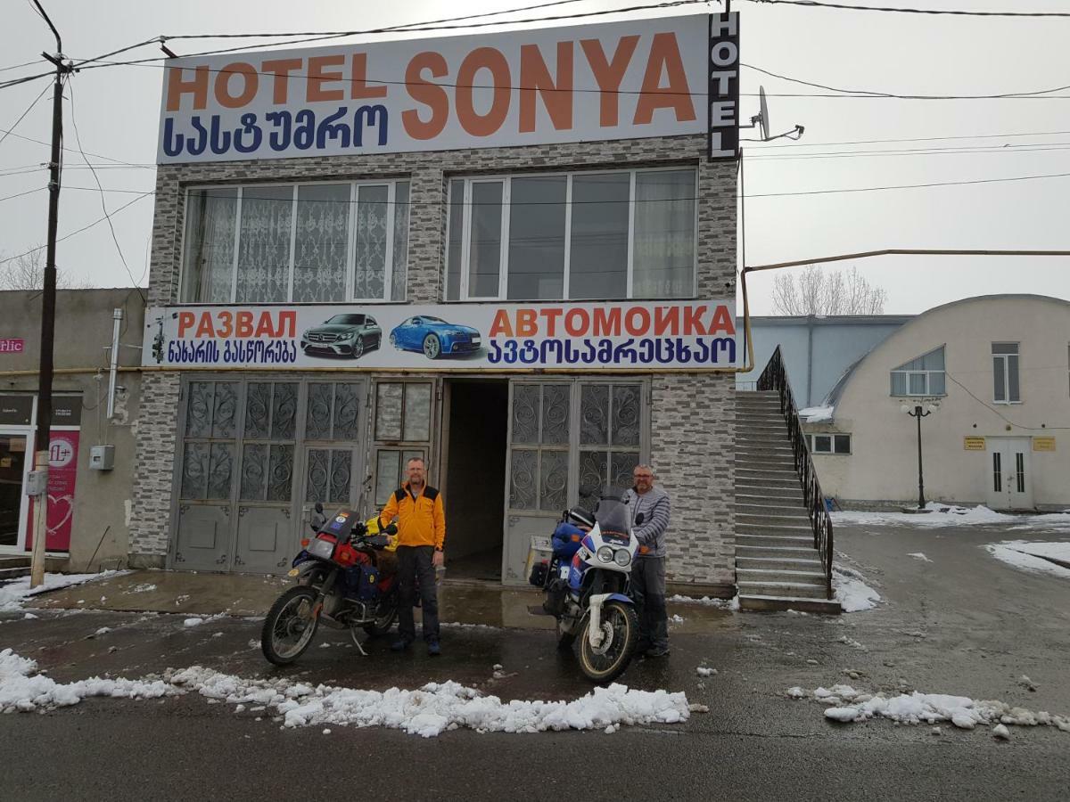 Hotel Sonya Ninotsminda Exteriér fotografie